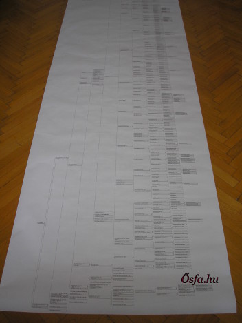 Family tree of Péter Ledó